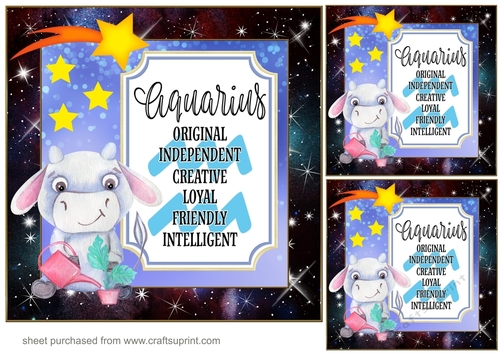 3 Aquarius bull Birthday card front/toppers