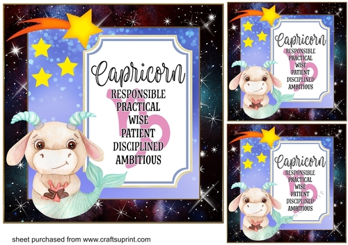 3 Capricorn bull Birthday card front/toppers