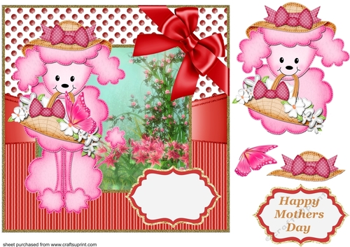 Floral poodle card front