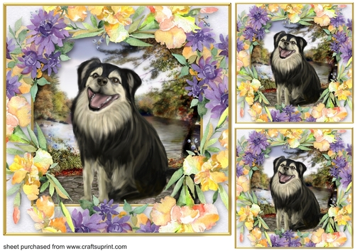 3 Cute floral dog card front/toppers 4