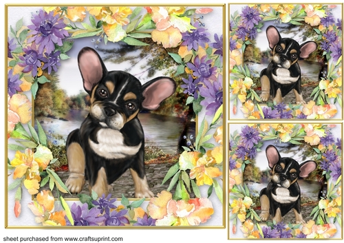 3 Cute floral dog card front/toppers 6