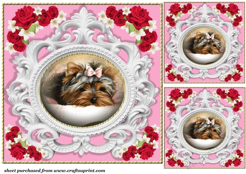 3 Pink rose pet card front/toppers 2