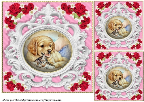 3 Pink rose pet card front/toppers 5