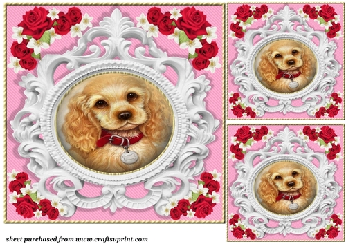 3 Pink rose pet card front/toppers 6
