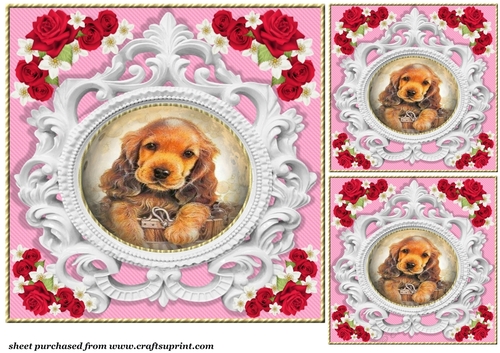 3 Pink rose pet card front/toppers 7