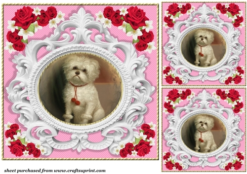 3 Pink rose pet card front/toppers 8