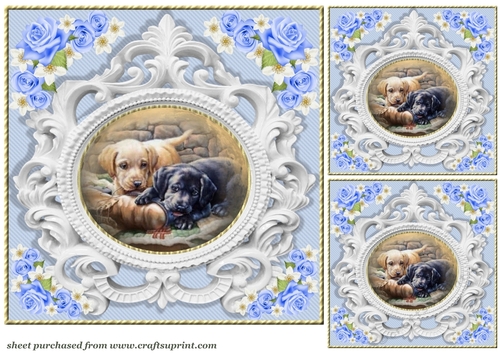 3 Blue rose pet card front/toppers 1