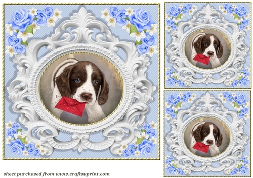 3 Blue rose pet card front/toppers 2
