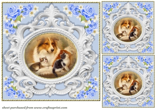 3 Blue rose pet card front/toppers 3