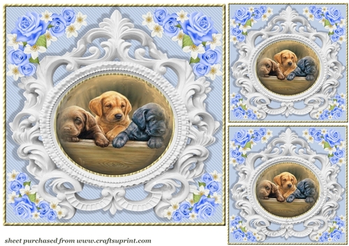 3 Blue rose pet card front/toppers 4