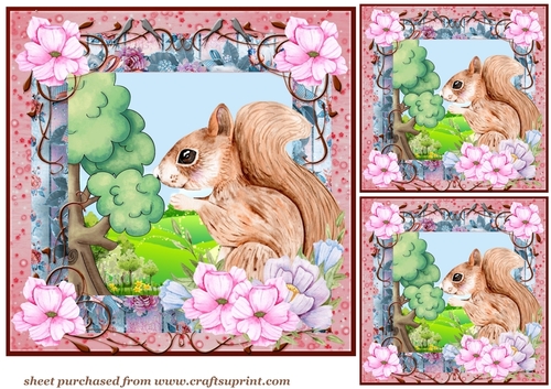 3 Floral squirrel card front/toppers