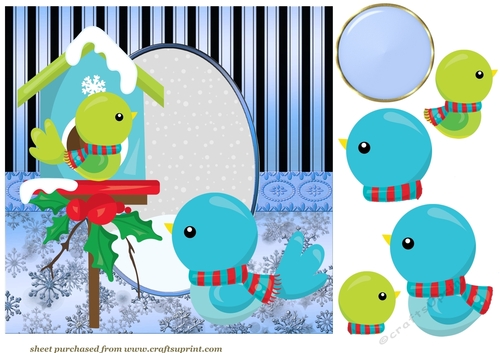 Cute Christmas birds card front