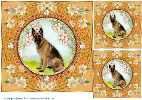 3 Peach floral dog card front/toppers 1