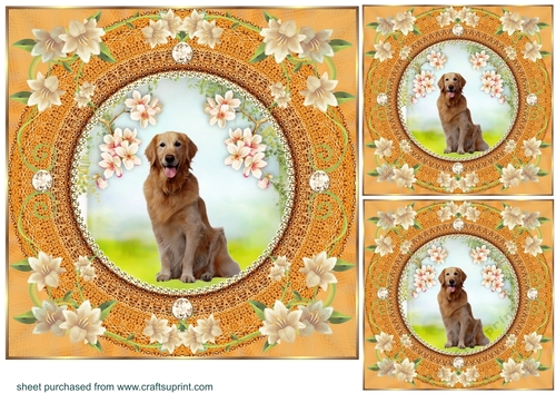 3 Peach floral dog card front/toppers 2