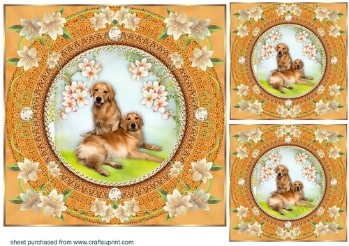 3 Peach floral dog card front/toppers 3