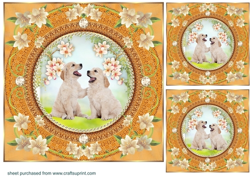 3 Peach floral dog card front/toppers 4