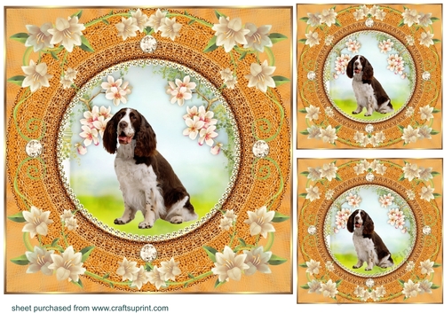 3 Peach floral dog card front/toppers 5