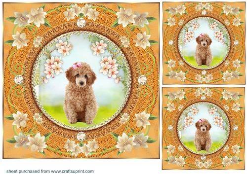 3 Peach floral dog card front/toppers 6