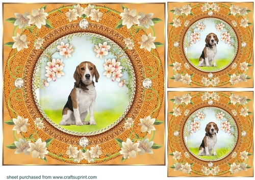 3 Peach floral dog card front/toppers 7