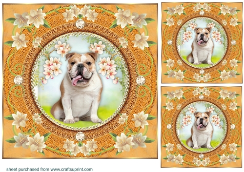 3 Peach floral dog card front/toppers 8