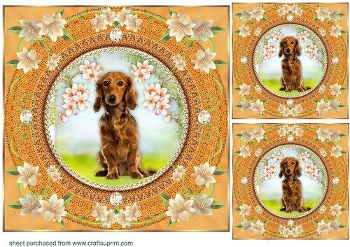 3 Peach floral dog card front/toppers 9