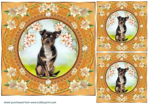 3 Peach floral dog card front/toppers 10