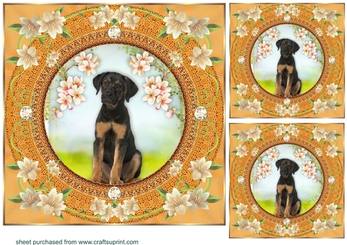 3 Peach floral dog card front/toppers 11