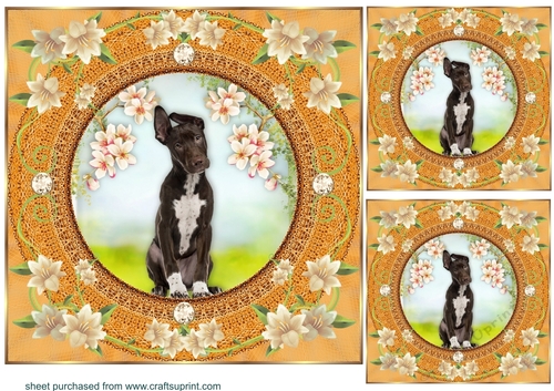 3 Peach floral dog card front/toppers 12