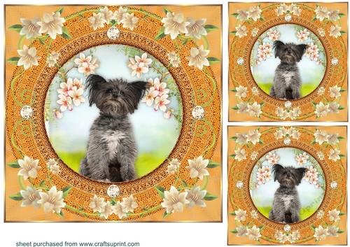 3 Peach floral dog card front/toppers 13