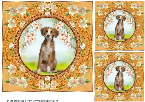 3 Peach floral dog card front/toppers 14