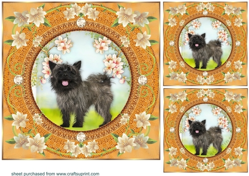 3 Peach floral dog card front/toppers 15