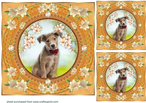3 Peach floral dog card front/toppers 16