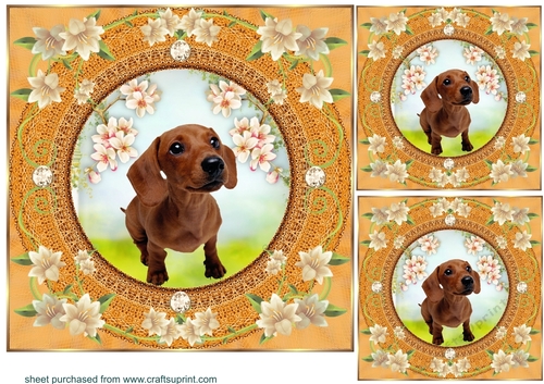 3 Peach floral dog card front/toppers 17