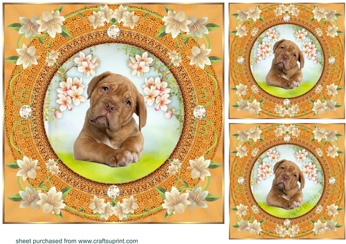 3 Peach floral dog card front/toppers 18
