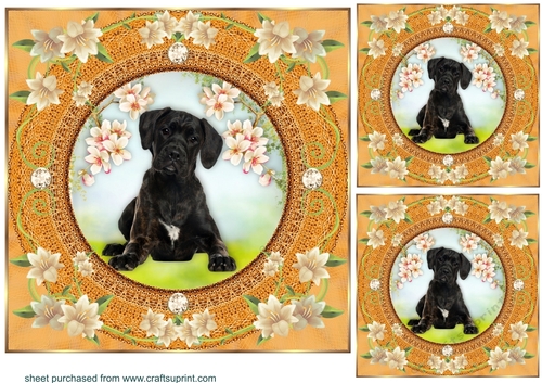 3 Peach floral dog card front/toppers 19
