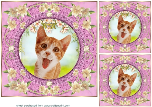 3 Pink floral kitty card front/toppers 1