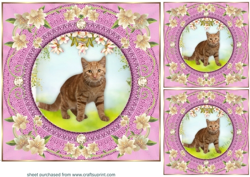 3 Pink floral kitty card front/toppers 2