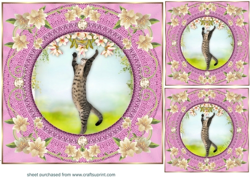 3 Pink floral kitty card front/toppers 3