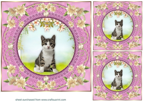 3 Pink floral kitty card front/toppers 4