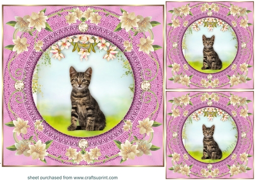 3 Pink floral kitty card front/toppers 5
