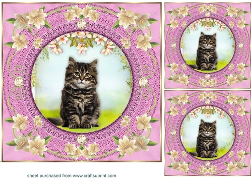 3 Pink floral kitty card front/toppers 6
