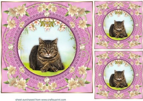 3 Pink floral kitty card front/toppers 7