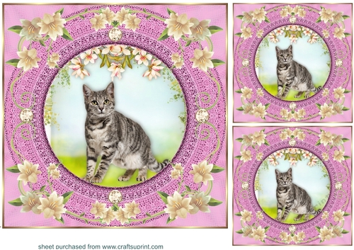 3 Pink floral kitty card front/toppers 8