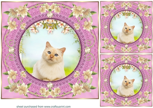3 Pink floral kitty card front/toppers 9