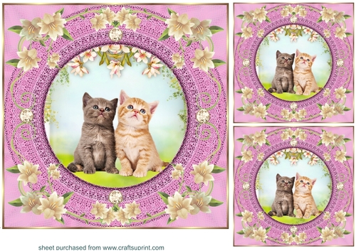 3 Pink floral kitty card front/toppers 10