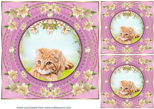 3 Pink floral kitty card front/toppers 11
