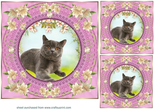 3 Pink floral kitty card front/toppers 12