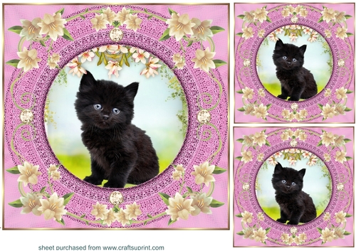 3 Pink floral kitty card front/toppers 13