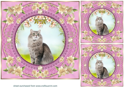 3 Pink floral kitty card front/toppers 14
