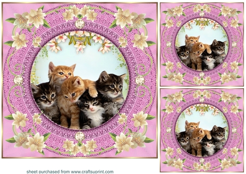 3 Pink floral kitty card front/toppers 15